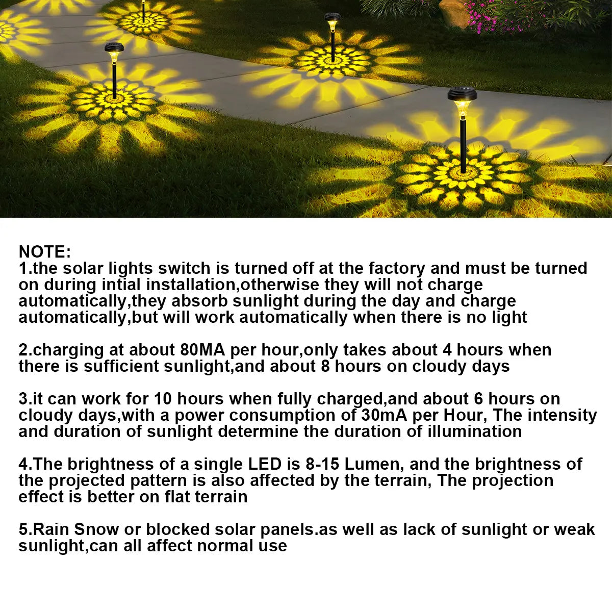 Bright Solar Pathway Lights
