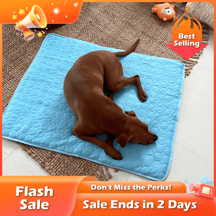 🔥Stay Cool & Comfy Dog Cooling Mat (4x more effective)