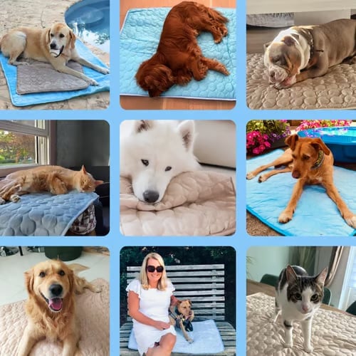 🔥Stay Cool & Comfy Dog Cooling Mat (4x more effective)
