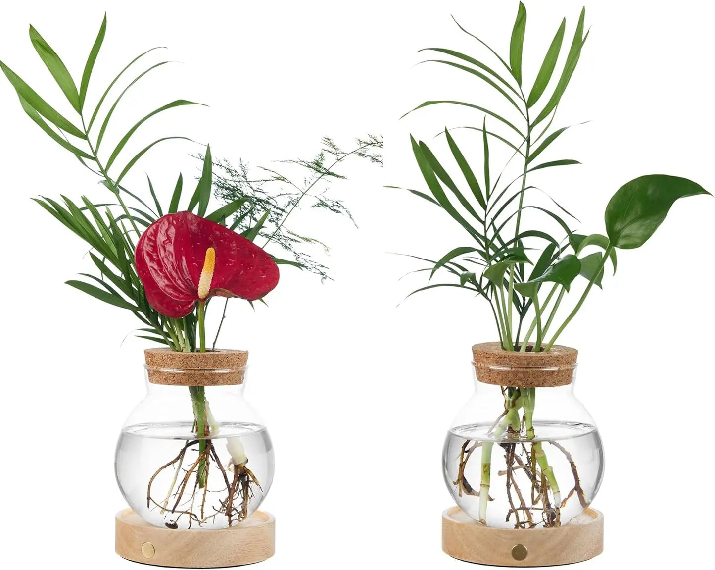 🌺Summer Sale 49% OFF🔥Plant Propagation Station with Wooden Saucer