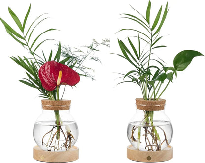 🌺Summer Sale 49% OFF🔥Plant Propagation Station with Wooden Saucer