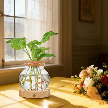 🌺Summer Sale 49% OFF🔥Plant Propagation Station with Wooden Saucer
