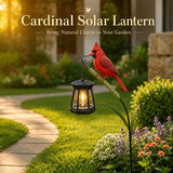 ✨Red Cardinal Solar Garden Stake Lantern, Waterproof Outdoor Bird Decor Path Light for Yard Patio Landscape