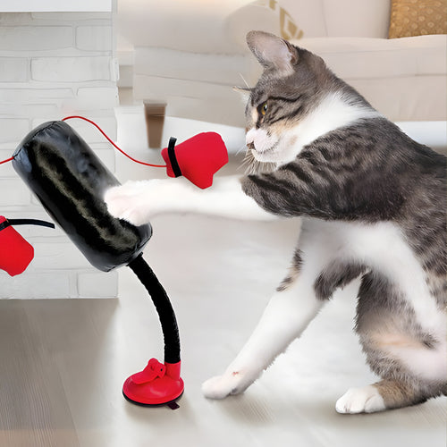 Suction Cup Cat Punching Bag Toy