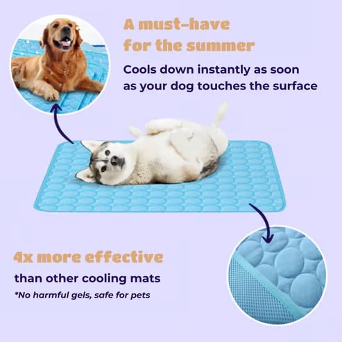 🔥Stay Cool & Comfy Dog Cooling Mat (4x more effective)