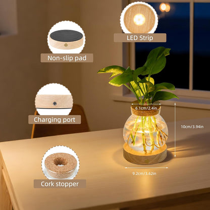 🌺Summer Sale 49% OFF🔥Plant Propagation Station with Wooden Saucer