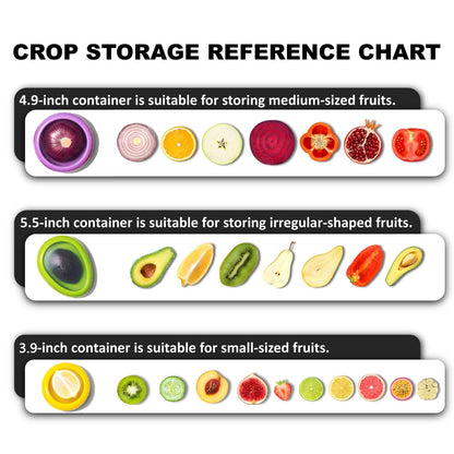 🔥Last Day Promotion-50% OFF 💥Fruit And Vegetable Anti-Oxidation Storage Box