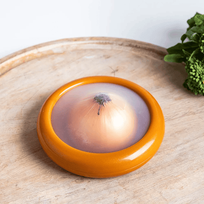 🔥Last Day Promotion-50% OFF 💥Fruit And Vegetable Anti-Oxidation Storage Box