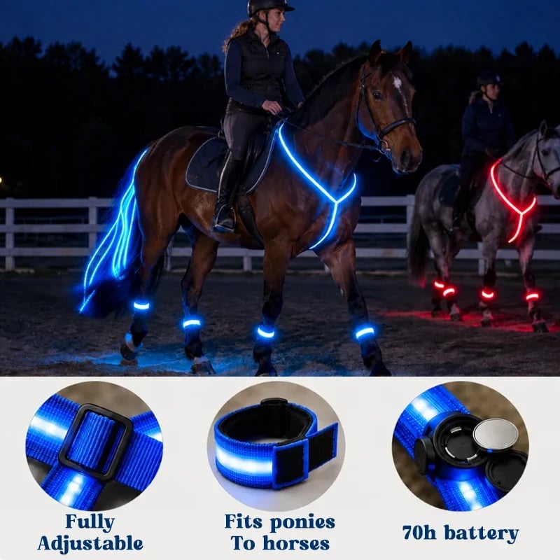 🐎Light-up Horse-riding Set – Glowing Fun for Little Riders! ✨